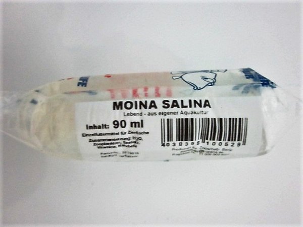 Moina salina (Wasserflöhe), 90ml
